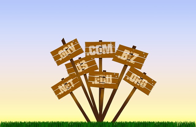 TENTANG BERALIH KE TOP LEVEL DOMAIN