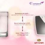 6 LANGKAH MENCEGAH PENYAKIT GINJAL